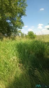 000 Marion Richards Rd, Roswell, 新墨西哥州 88201, 美國