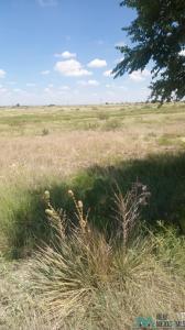 000 Marion Richards Rd, Roswell, 新墨西哥州 88201, 美國