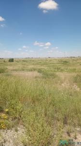 000 Marion Richards Rd, Roswell, 新墨西哥州 88201, 美國