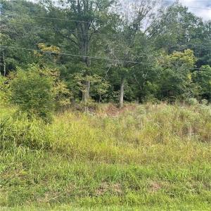 0000 Ravenswood Rd., Ravenswood, West Virginia 26164, Stati Uniti