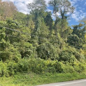 0000 Ravenswood Rd., Ravenswood, West Virginia 26164, Stati Uniti