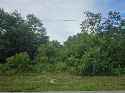 1719 Circle Drive, Lake Placid, Floride 33852, États-Unis