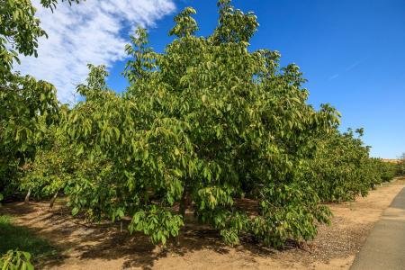 262 Ca-108, Oakdale, Калифорния 95361, Соединенные Штаты