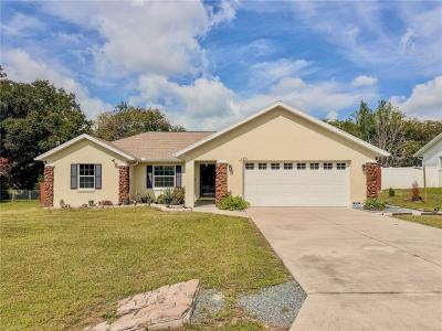 4380 NE 19th Avenue, OCALA, Floryda 34479, USA