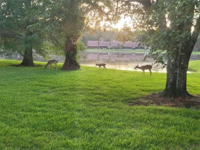 3451 Mermoor Drive, Palm Harbor, Florida 34685, Stati Uniti