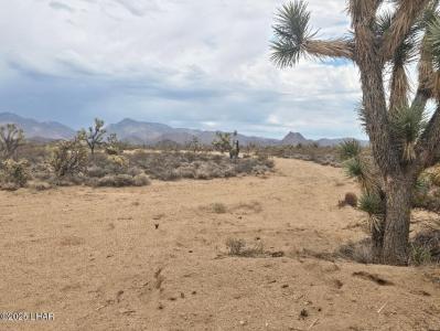 Parcel 450 Kit Carson Rd, Yucca, אריזונה 86438, ארצות הברית של אמריקה 