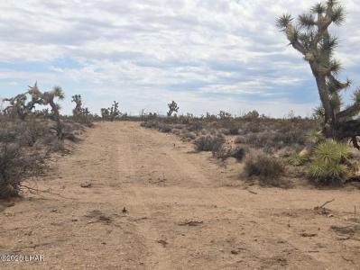 Parcel 450 Kit Carson Rd, Yucca, אריזונה 86438, ארצות הברית של אמריקה 