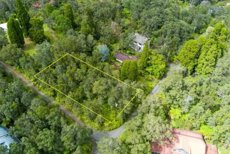 Lot 162, Maile Ave, Volcano, Hawaii 96785, USA