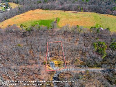 701 Michaels Way, Newport, Tennessee 37821, Amerika Birleşik Devletleri