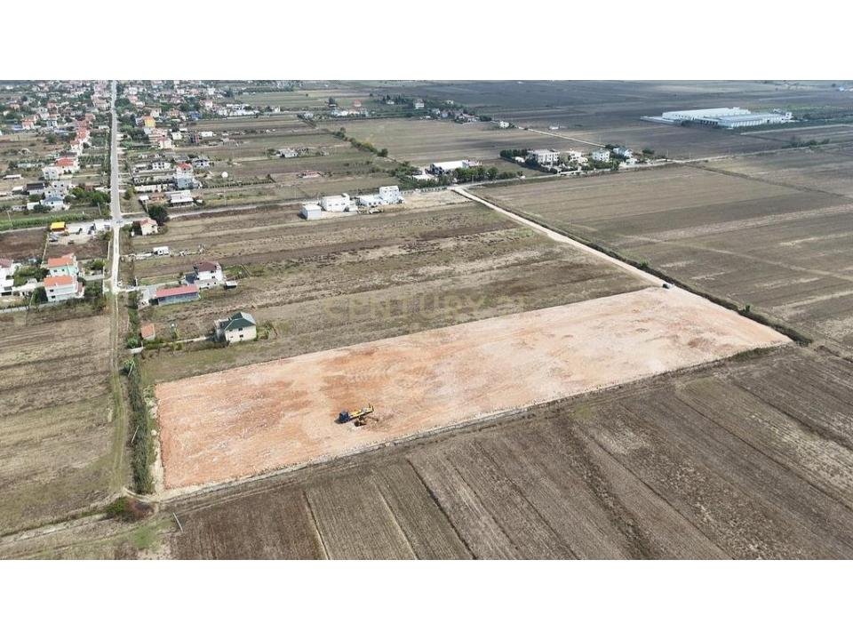 Periferia Durrës, Durrës, Albania