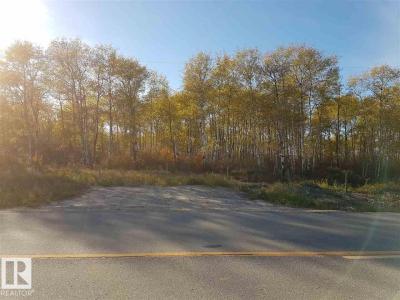 TWP RD 614 RR 75, Rural Bonnyville M.d., Alberta T9N 2H9, Canada