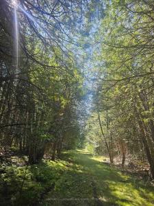 1477 ARMSTRONG ROAD, Merrickville-Wolford-, 安大略省 K0G 0A3, 加拿大