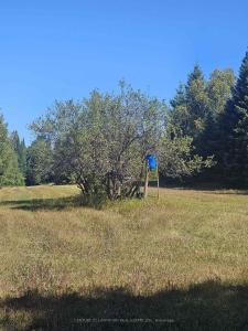 1477 ARMSTRONG ROAD, Merrickville-Wolford-, 安大略省 K0G 0A3, 加拿大