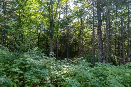1060 LOT 7 FOUR MILE LAKE ROAD, North Bay, Ontario P1B 8G2, Canada