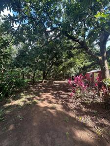 Carretera Masaya Managua Managua, Managua 00001, Nicaragua