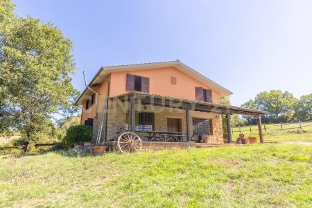 località san quirichello, Barbarano Romano, Lazio 01010, Italy
