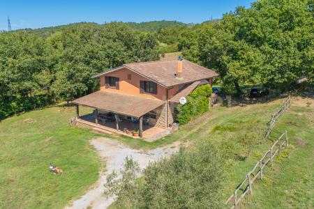 località san quirichello, Barbarano Romano, Lazio 01010, Italy