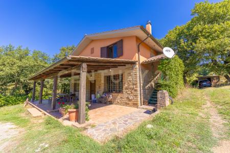 località san quirichello, Barbarano Romano, Lazio 01010, Italy