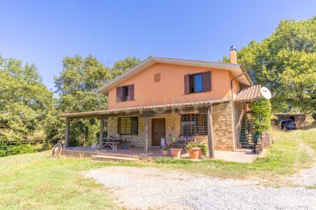 località san quirichello, Barbarano Romano, Lazio 01010, Italy