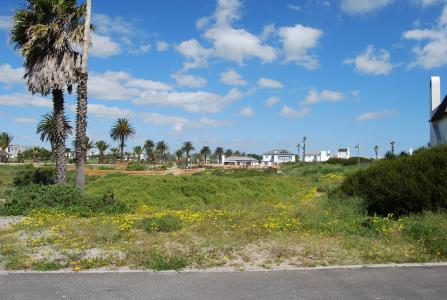 St Helena Bay, Western Cape, Nam Mỹ