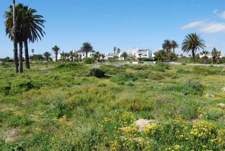 St Helena Bay, Western Cape, Afrique Du Sud