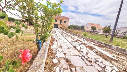 Cartaxo, 聖塔倫 2070-728, 葡萄牙