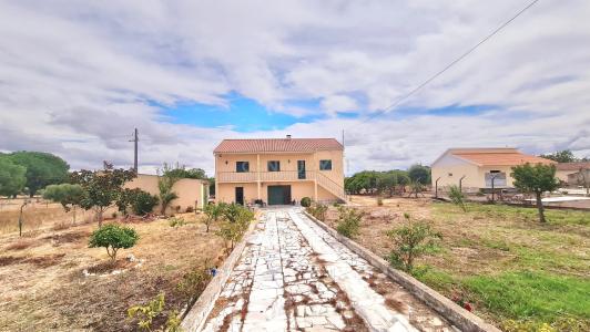 Cartaxo, 聖塔倫 2070-728, 葡萄牙