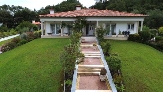 Pombal, Leiria 3100-721, Portugal