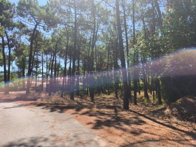 Almada, Setúbal 2820-567, Portugal