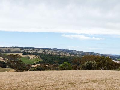 378 Richard Street, Penrice, SA 5353, Australia