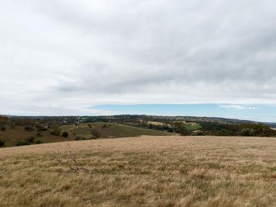 378 Richard Street, Penrice, SA 5353, Australia