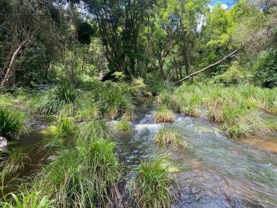 99 Rocky Creek Dam Road, Dunoon, NSW 2480, Australia