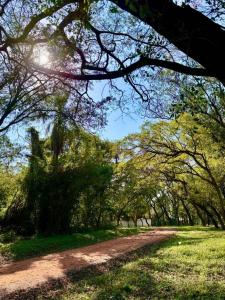 Surubii , Mariano Roque Alonso, Central 00001, Paraguay