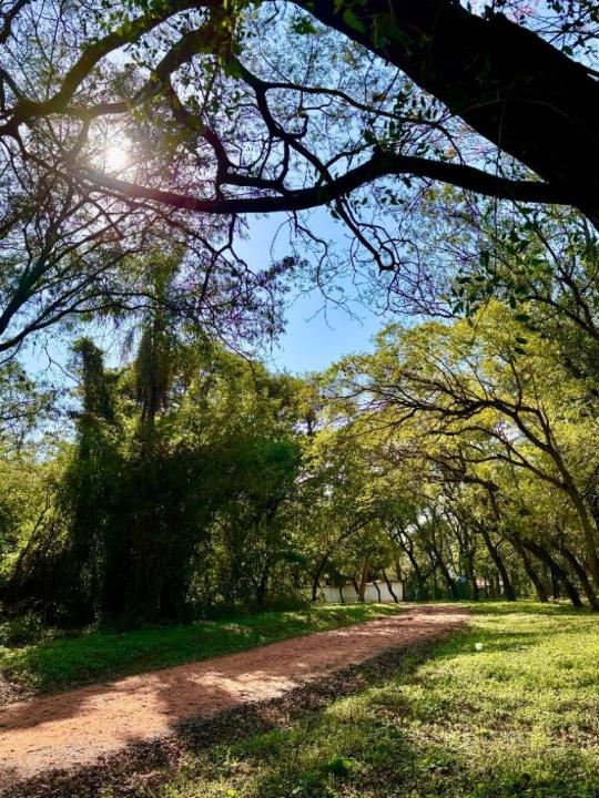 Surubii , Mariano Roque Alonso, Central 00001, Paraguay