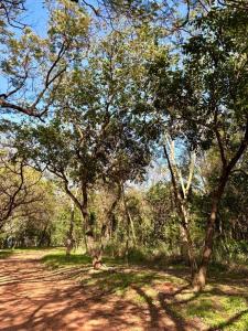 Surubii , Mariano Roque Alonso, Central 00001, Paraguay