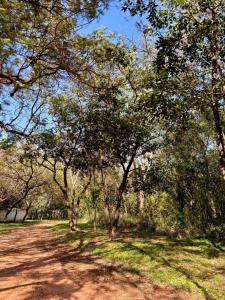 Surubii , Mariano Roque Alonso, Central 00001, Paraguay