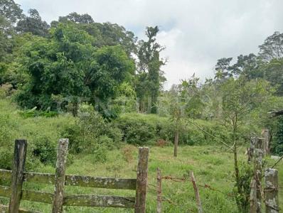 A 30 min. de la caseta a Ocozocoautla,  colindante con el ejido ing. Armando Zebadua S/N,, Ocozocoautla De Espinosa, Чьяпас 29140, Мексика