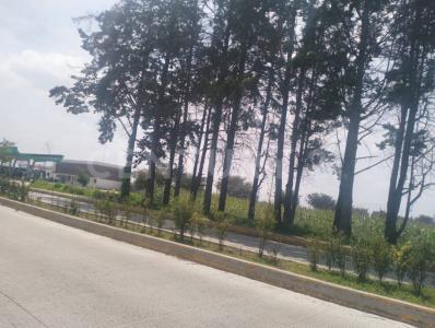 Metepec, Estado De México 52176, Mexico