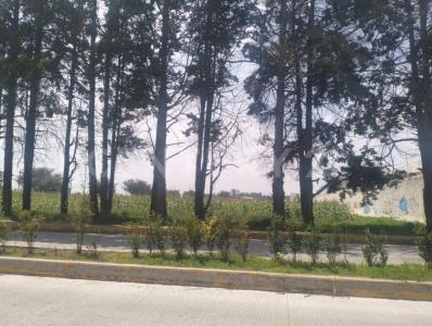 Metepec, מקסיקו 52176, מקסיקו 