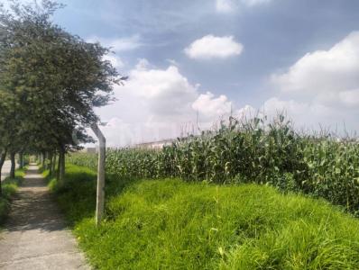 Metepec, מקסיקו 52176, מקסיקו 