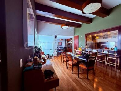 GENERAL ANTONIO DE LEON 18,, Miguel Hidalgo, Ciudad De México 11850, Mexique