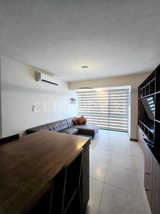 EDIFICIO SUZAT ,, Torreón, 科阿韋拉 27106, 墨西哥