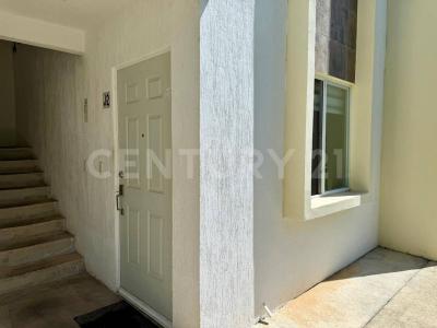 Rivarolo ,, Solidaridad / Riviera Maya, Quintana Roo 77710, Mexico