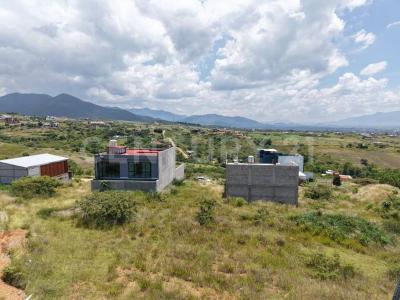 El Roble S/N,, San Andrés Huayapam, Oaxaca 68287, México