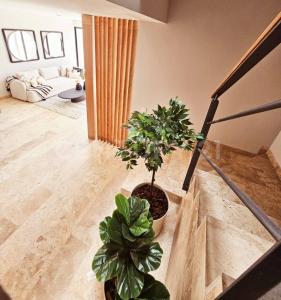 Av. Villa Magna Pte. 2000,, סן לואיס פוטוסי, סן לואיס פוטוסי 78000, מקסיקו 