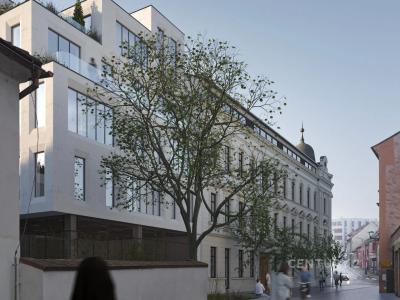 Smila Osovského, Třebíč, Třebíč, צ'כיה 