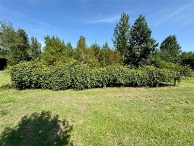 992 Lookout Tower Road, Saline, Louisiane 71070, États-Unis