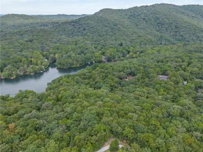 0 Lakeview Rd, Jasper, Géorgie 30143, États-Unis