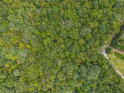 0 Lakeview Rd, Jasper, Géorgie 30143, États-Unis