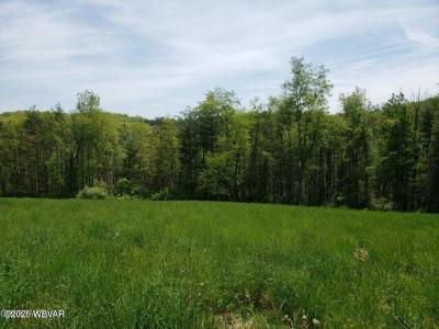 Motters Lane, Williamsport, 宾夕法尼亚州 17701, 美国